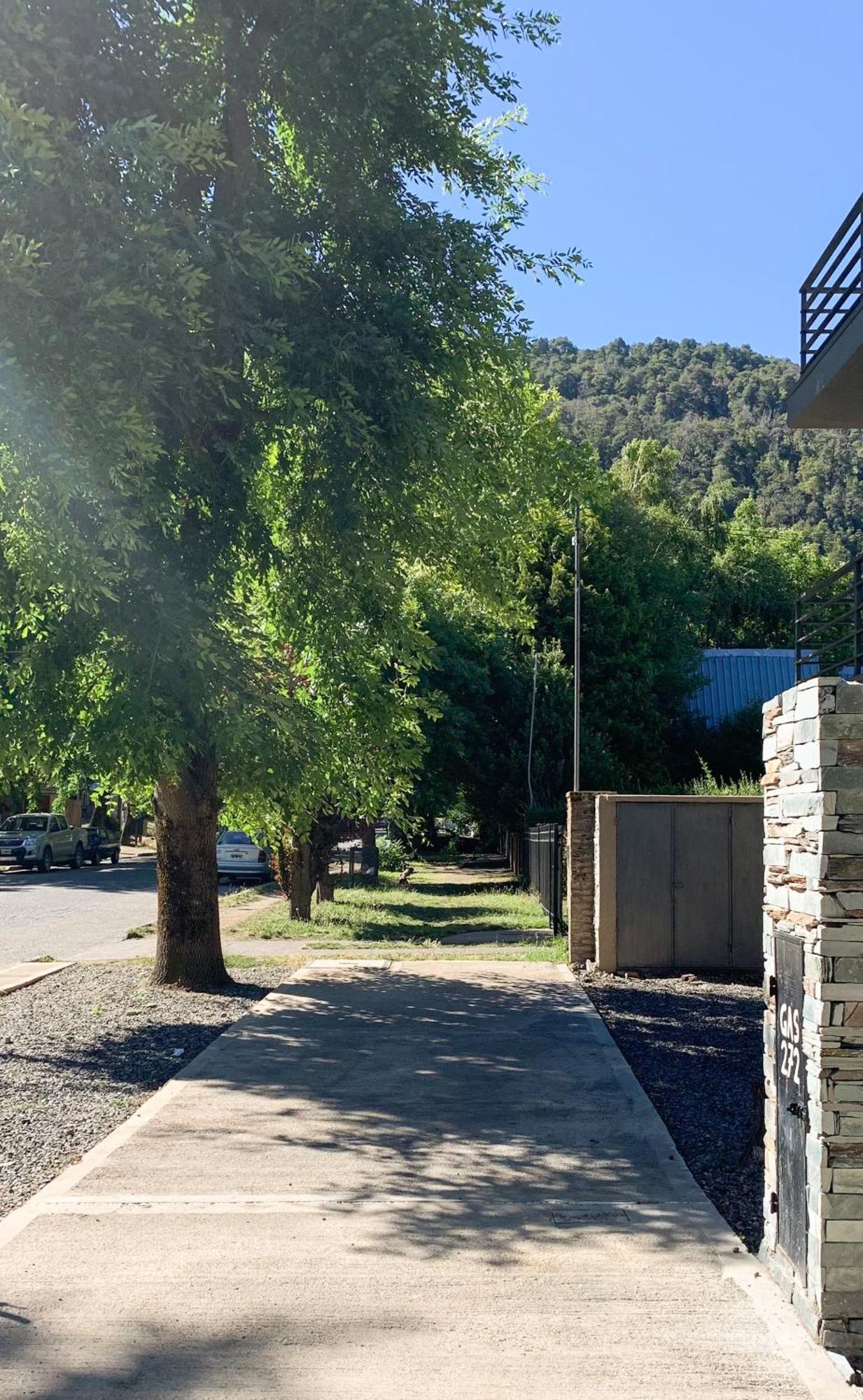 Apartamento Departamento Rivadavia Planta Baja San Martín de los Andes Exterior foto